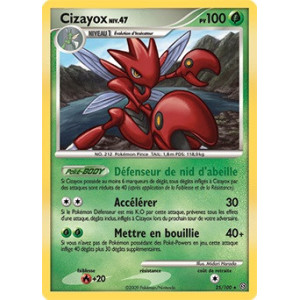 Carte à Collectionner - Pokémon