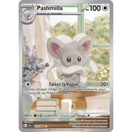 Carte à Collectionner - Pokémon