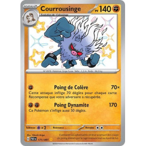 Carte à Collectionner - Pokémon