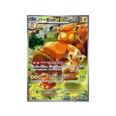Carte à Collectionner - Pokémon