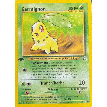 Carte à Collectionner - Pokémon