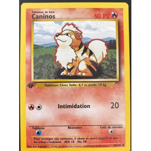 Carte à Collectionner - Pokémon