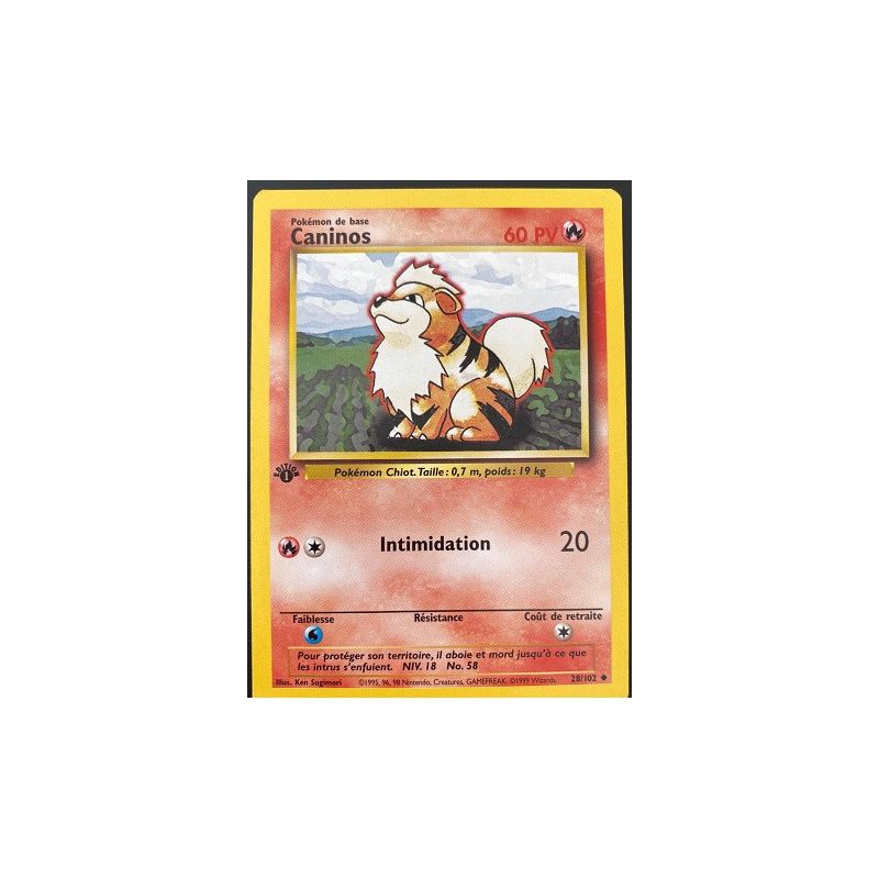 Carte à Collectionner - Pokémon