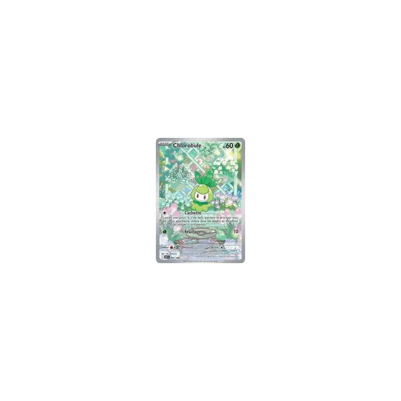 Carte à Collectionner - Pokémon