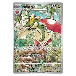 Carte à Collectionner - Pokémon