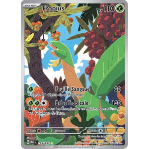 Carte à Collectionner - Pokémon