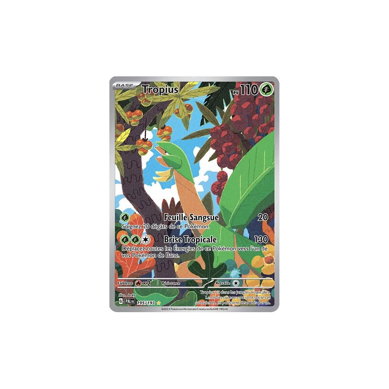 Carte à Collectionner - Pokémon