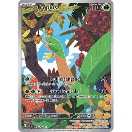 Carte à Collectionner - Pokémon