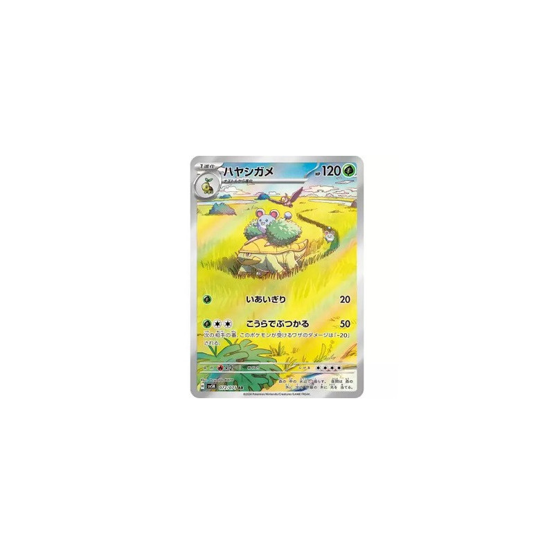 Carte à Collectionner - Pokémon
