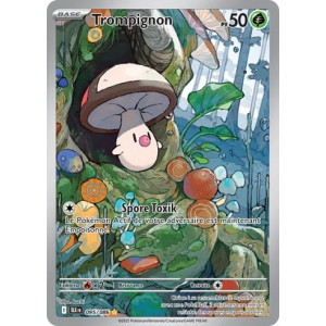 Carte à Collectionner - Pokémon