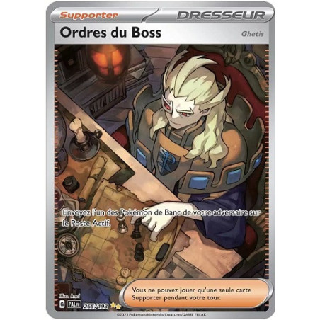 Carte à Collectionner - Pokémon