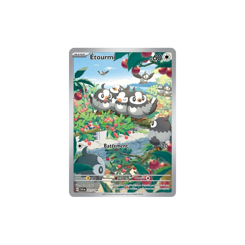 Carte à Collectionner - Pokémon