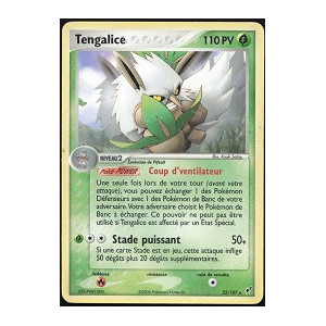 Carte à Collectionner - Pokémon