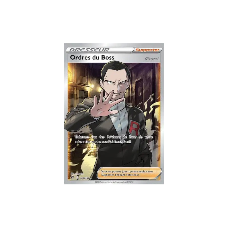 Carte à Collectionner - Pokémon