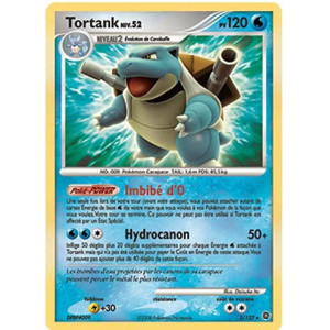 Carte à Collectionner - Pokémon