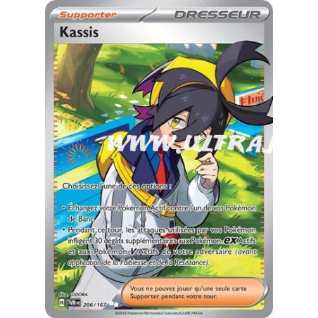 Carte à Collectionner - Pokémon