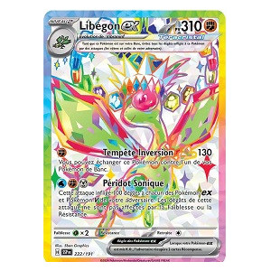 Carte à Collectionner - Pokémon