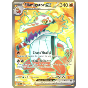 Carte à Collectionner - Pokémon