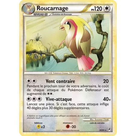 Carte à Collectionner - Pokémon