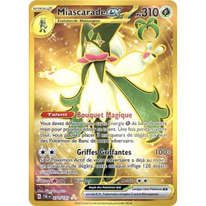 Carte à Collectionner - Pokémon