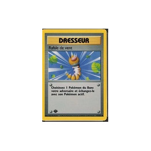 Carte à Collectionner - Pokémon