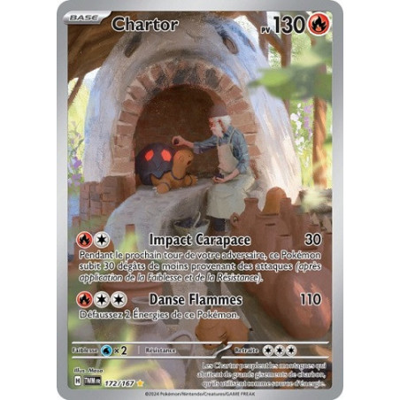 Carte à Collectionner - Pokémon