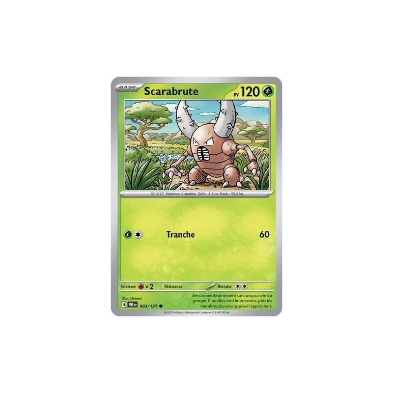 Carte à Collectionner - Pokémon