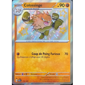 Carte à Collectionner - Pokémon