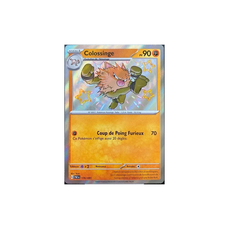 Carte à Collectionner - Pokémon