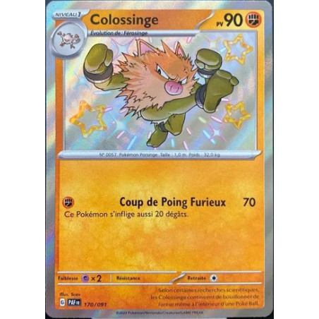 Carte à Collectionner - Pokémon
