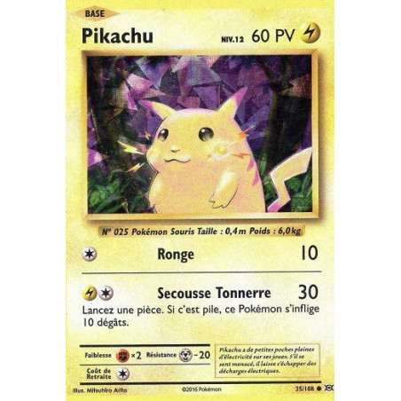 Carte à Collectionner - Pokémon