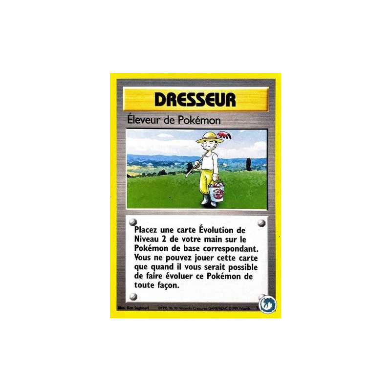 Carte à Collectionner - Pokémon