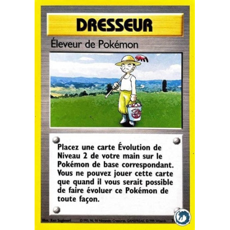 Carte à Collectionner - Pokémon