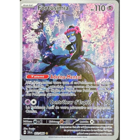 Carte à Collectionner - Pokémon