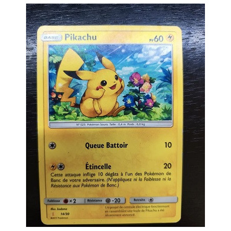 Carte à Collectionner - Pokémon