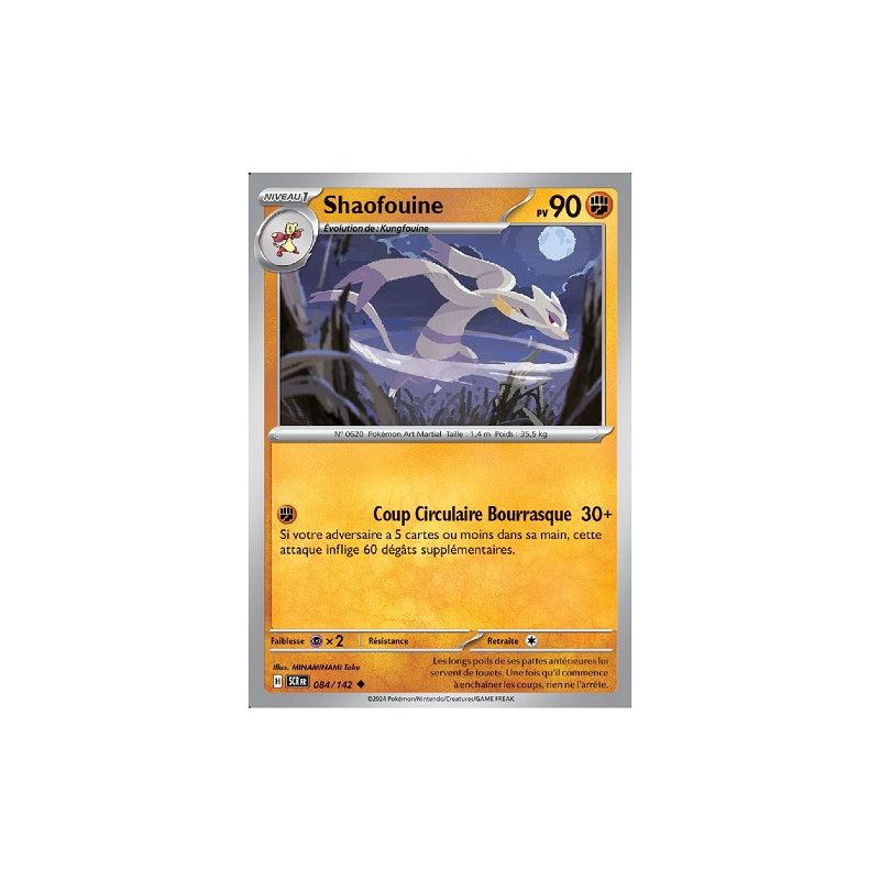 Carte à Collectionner - Pokémon