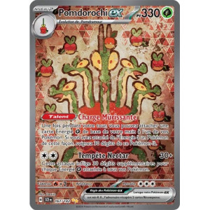 Carte à Collectionner - Pokémon