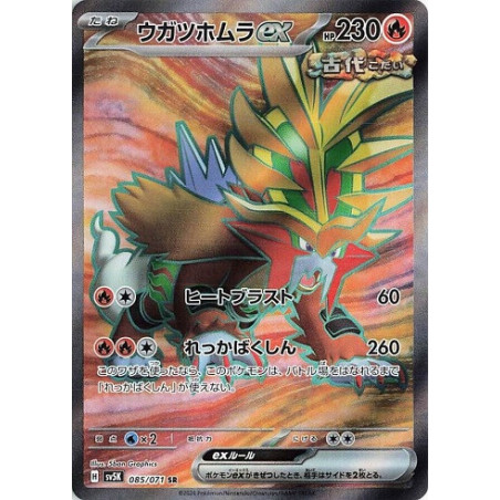 Carte à Collectionner - Pokémon