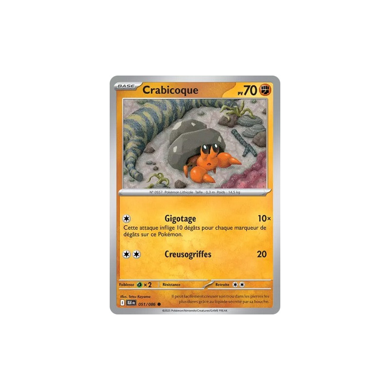 Carte à Collectionner - Pokémon