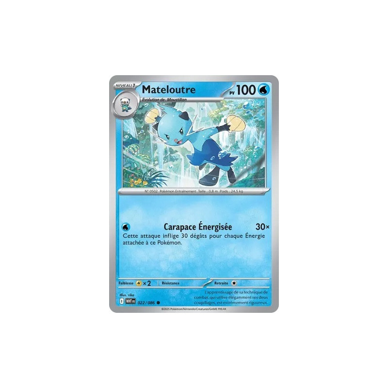 Carte à Collectionner - Pokémon