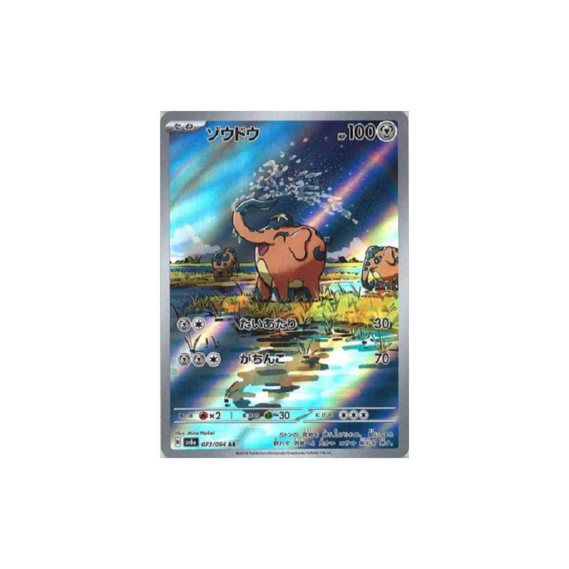 Carte à Collectionner - Pokémon