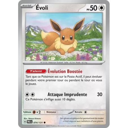 Carte à Collectionner - Pokémon