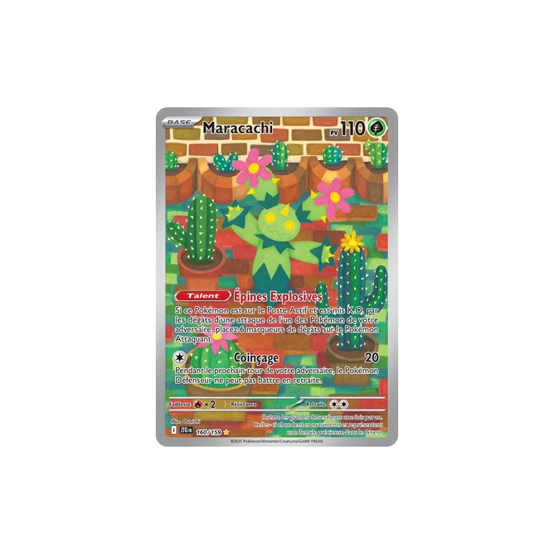 Carte à Collectionner - Pokémon