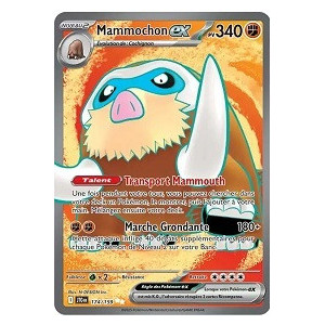 Carte à Collectionner - Pokémon