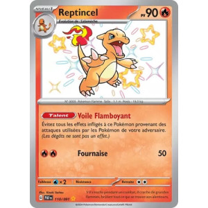 Carte à Collectionner - Pokémon