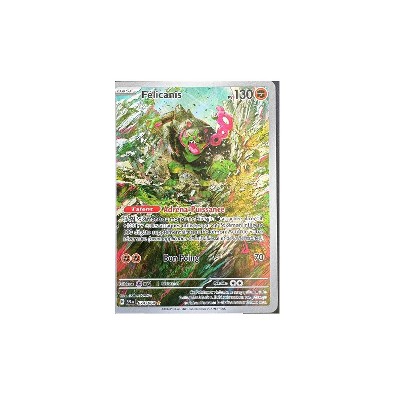 Carte à Collectionner - Pokémon