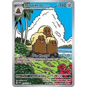 Carte à Collectionner - Pokémon