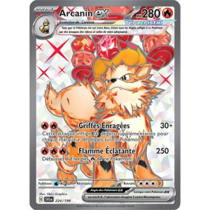 Carte à Collectionner - Pokémon