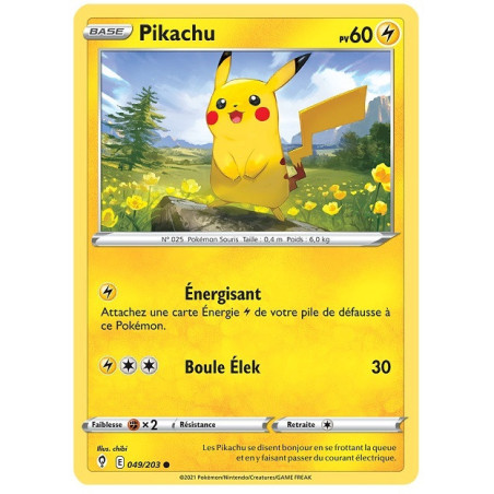 Carte à Collectionner - Pokémon