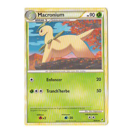 Carte à Collectionner - Pokémon